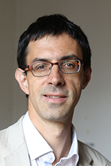 Stéphane Frioux