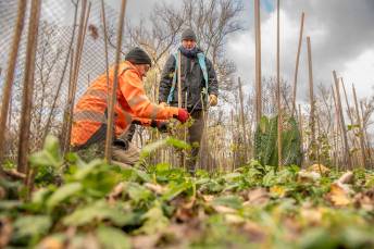Lancement de la nouvelle phase de plantation au parc de la Feyssine.