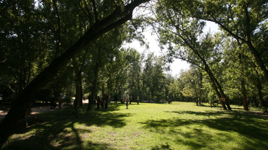 A la découverte des parcs et jardins